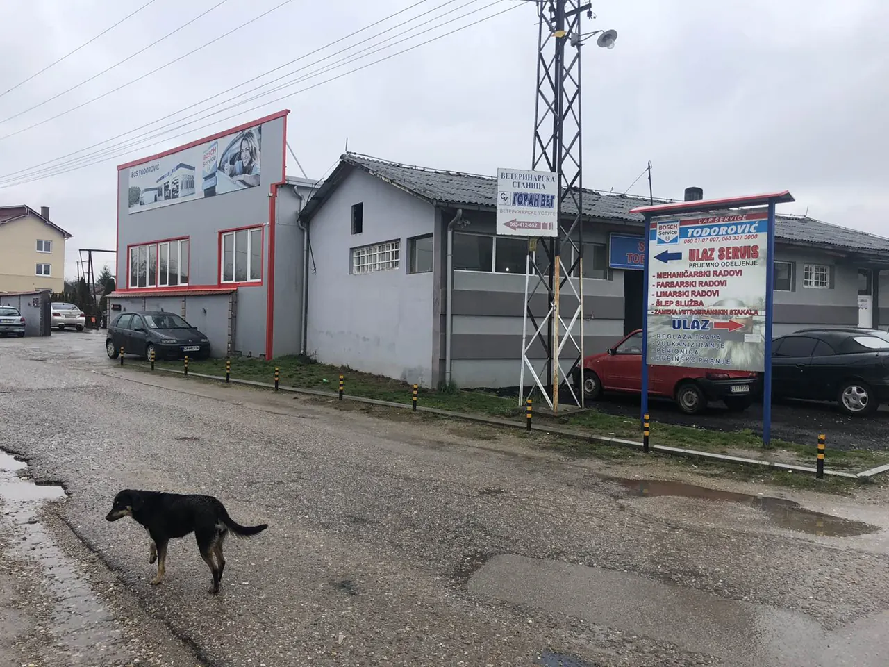 Auto usluge AUTO - SERVIS BSC TODOROVIĆ