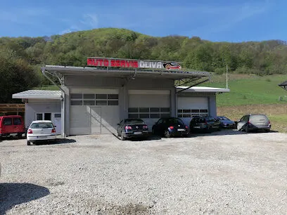 Auto usluge Oliva Auto