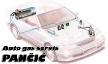 Auto usluge AUTO GAS SERVIS PANČIĆ